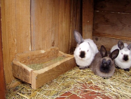 Zásobníky na granule nebo obilí - pan Plavajka